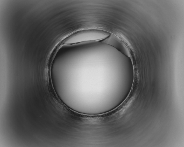 X0000096170781200802151434