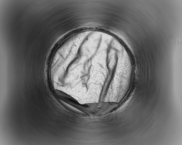 X0000096170783200802151434
