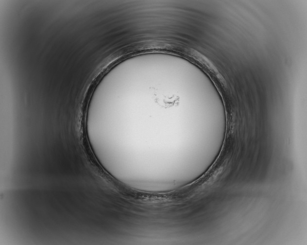 X0000096170786200802151434
