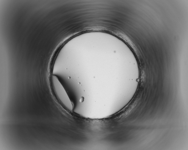 X0000096170787200802151434