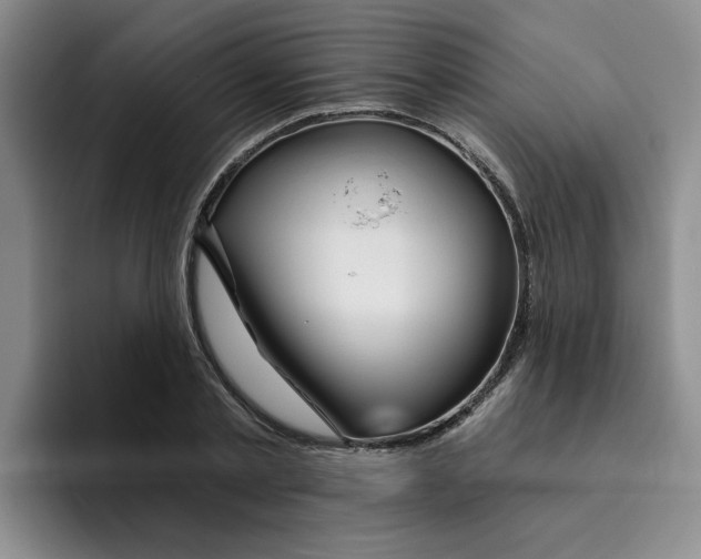 X0000096170789200802151434