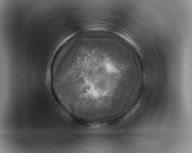 X0000096170790200802151434
