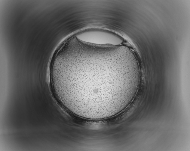 X0000096170791200802151434