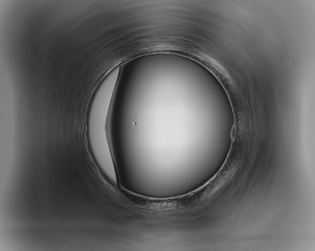 X0000096170793200802151434