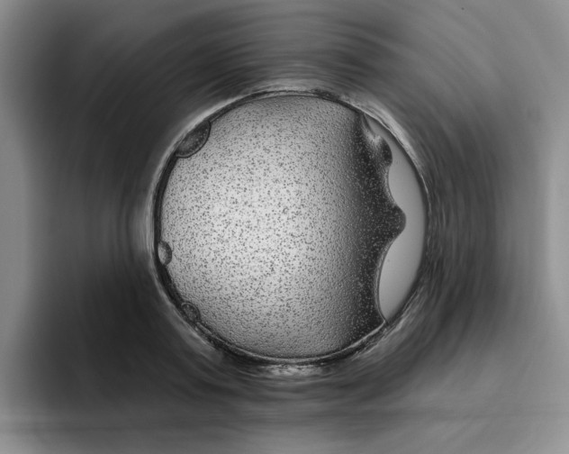 X0000096170795200802151434