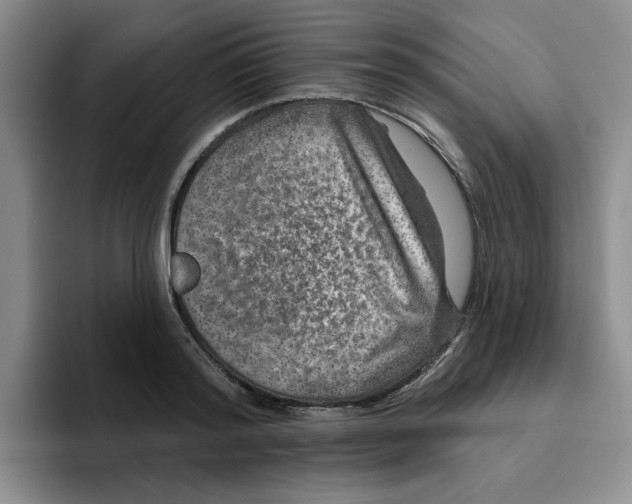 X0000096170796200802151434