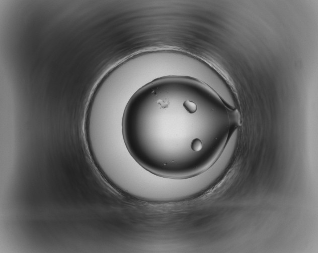 X0000096170797200802151434