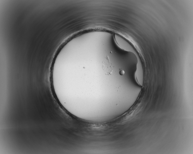 X0000096170799200802151434