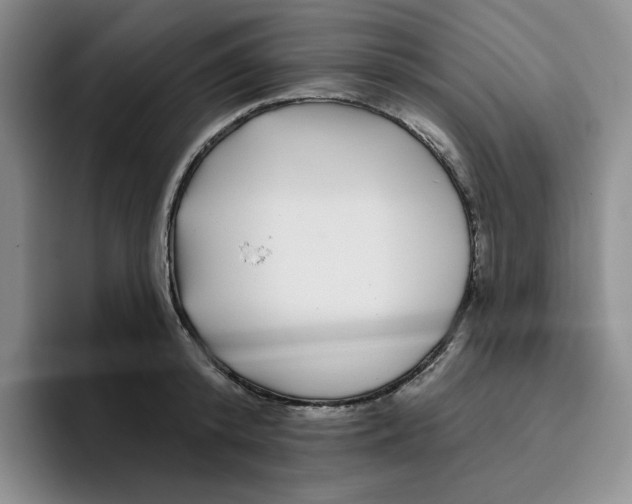 X0000096170800200802151434