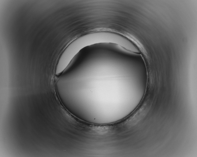 X0000096170801200802151434