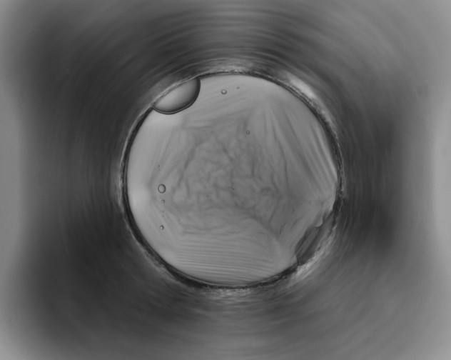 X0000096170802200802151433