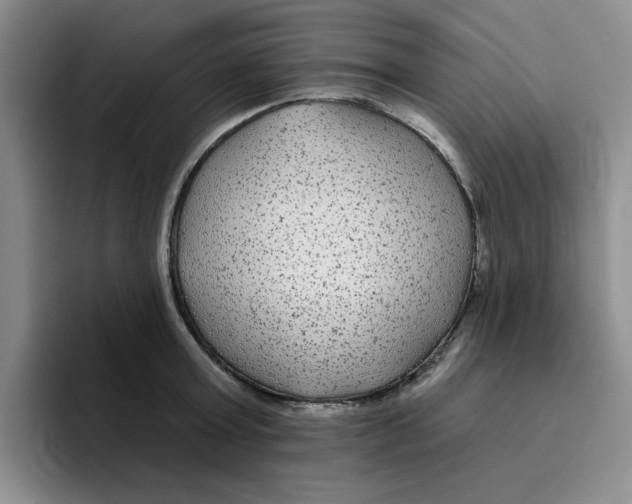 X0000096170803200802151433