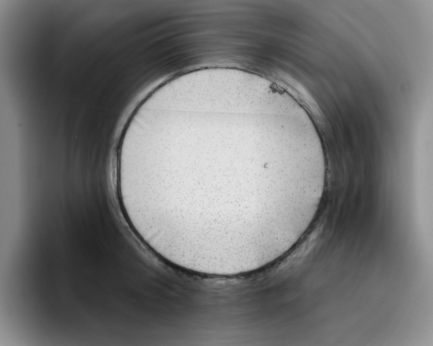 X0000096170804200802151433
