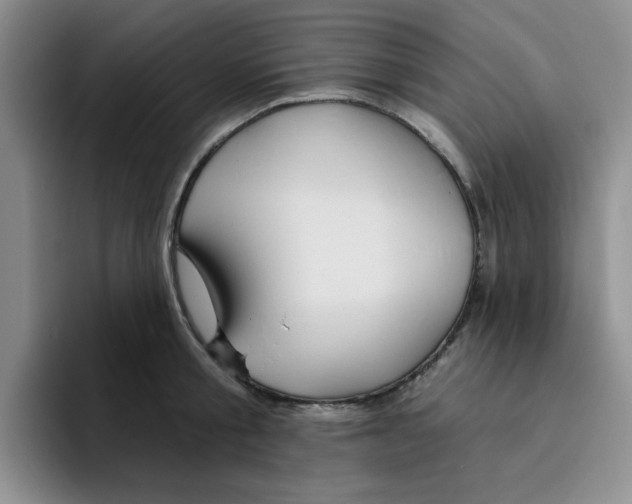 X0000096170805200802151433