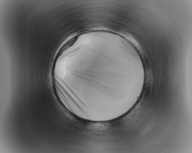 X0000096170806200802151433