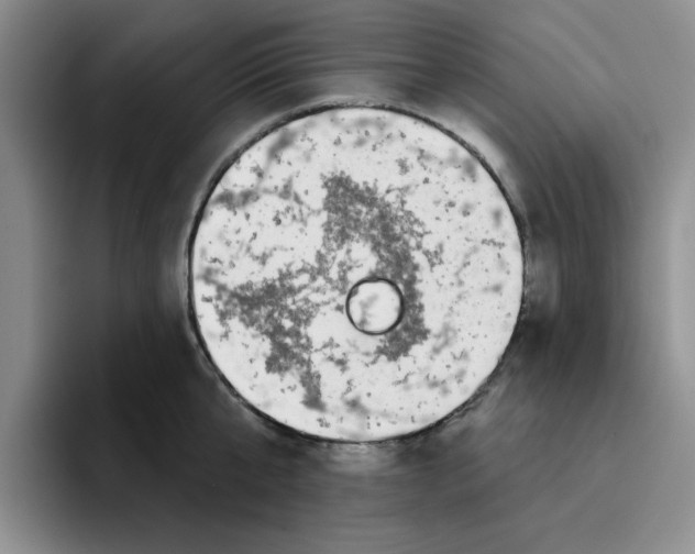 X0000096170807200802151433