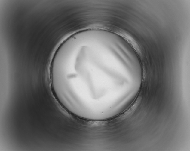 X0000096170808200802151433