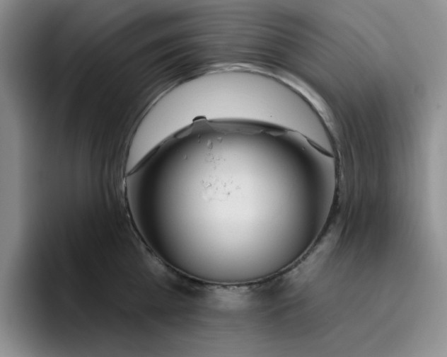 X0000096170809200802151433
