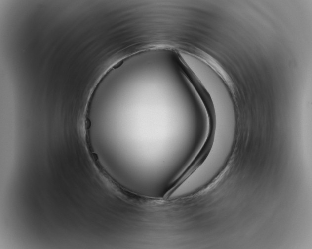 X0000096170810200802151433