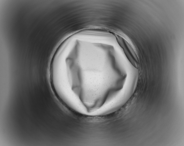 X0000096170811200802151433