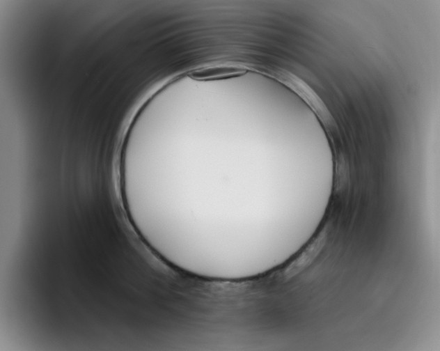 X0000096170812200802151433