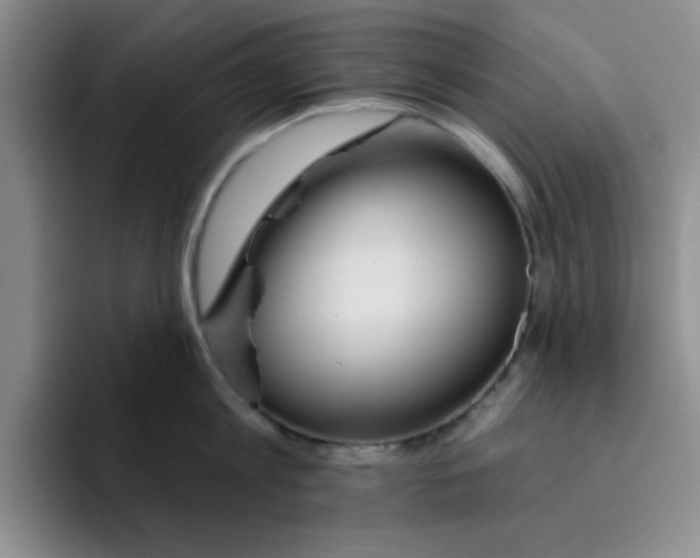 X0000096170813200802151433