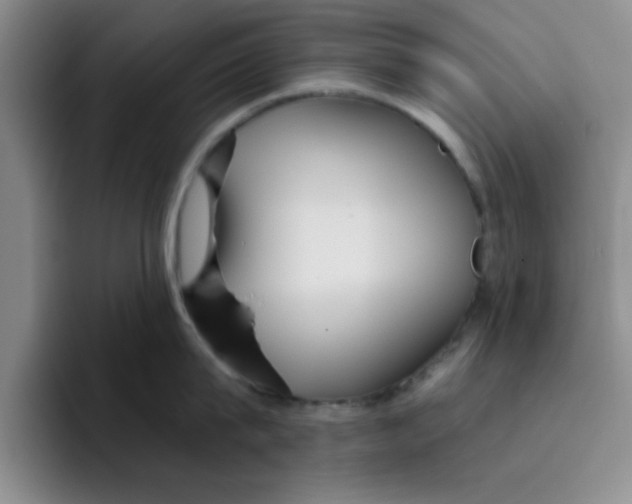 X0000096170815200802151433