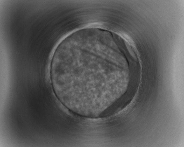 X0000096170816200802151433