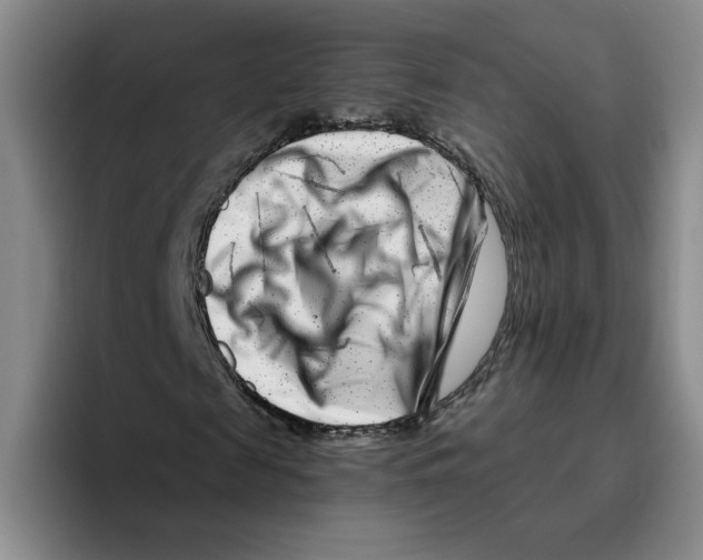 X0000096170817200802151433