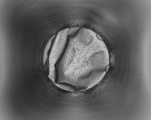X0000096170819200802151433
