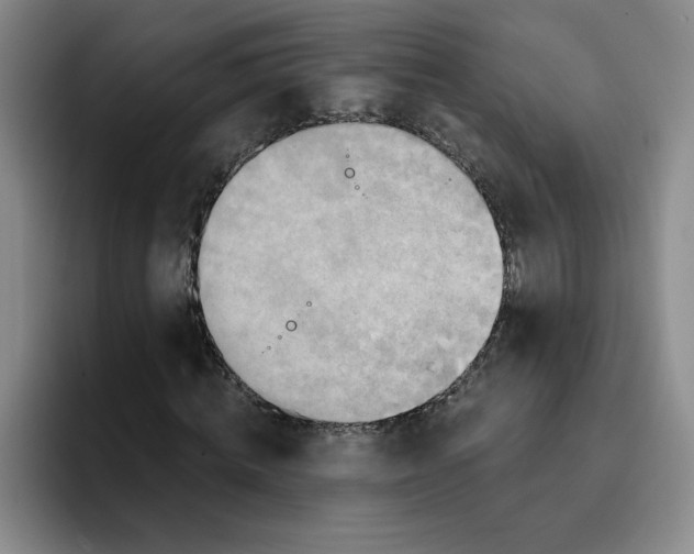 X0000096170820200802151433