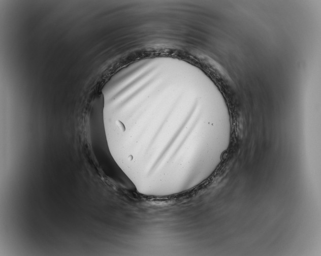 X0000096170821200802151433