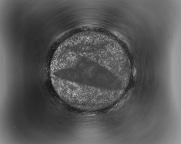 X0000096170822200802151433