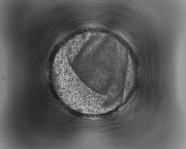 X0000096170823200802151433