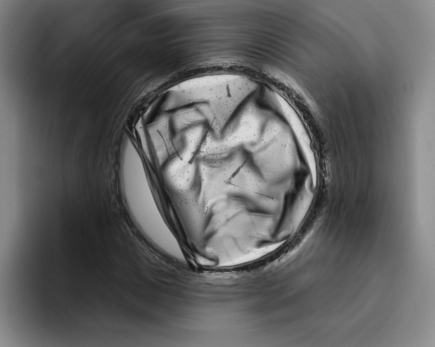 X0000096170825200802151433