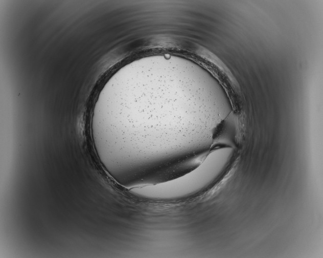 X0000096170826200802151433