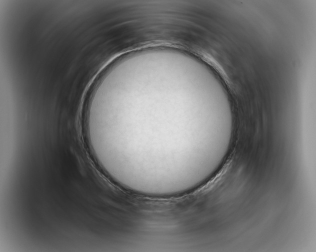 X0000096170828200802151433