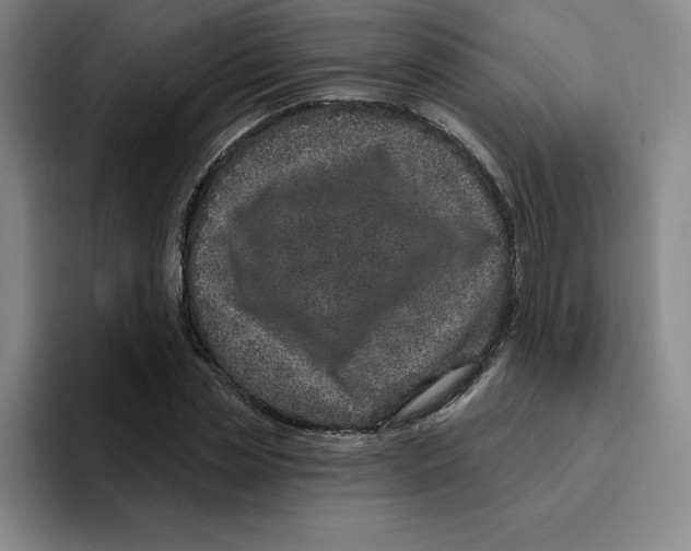 X0000096170829200802151433