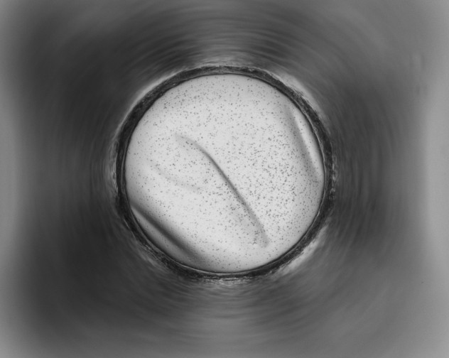 X0000096170830200802151433