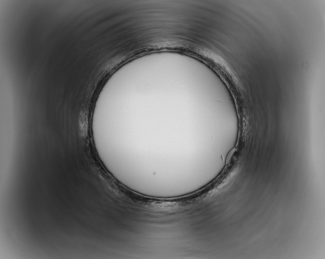 X0000096170833200802151433