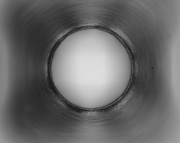 X0000096170834200802151433