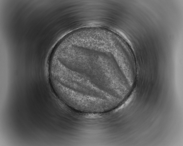 X0000096170835200802151433
