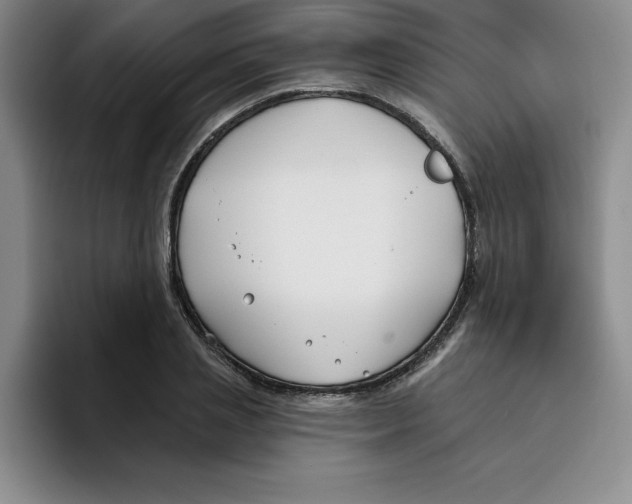 X0000096170837200802151433