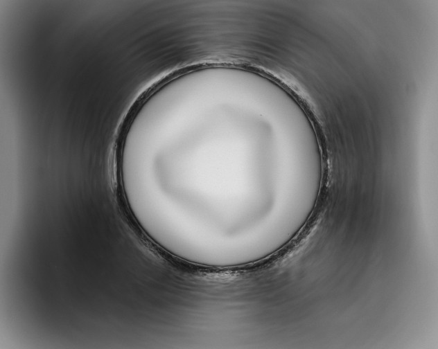 X0000096170838200802151433