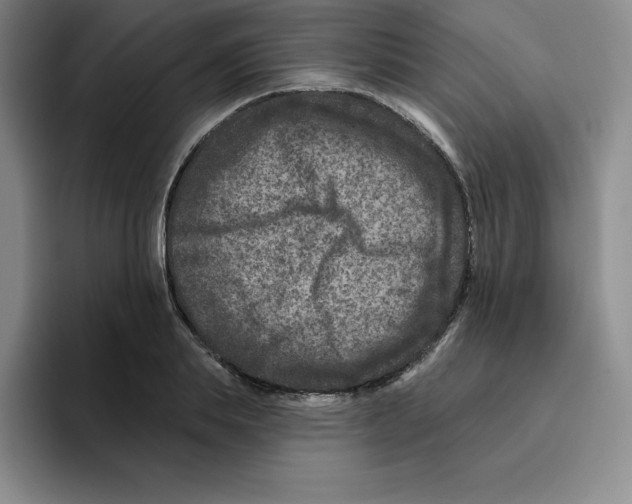 X0000096170839200802151433