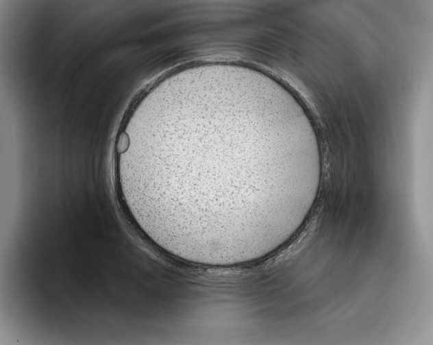 X0000096170840200802151433