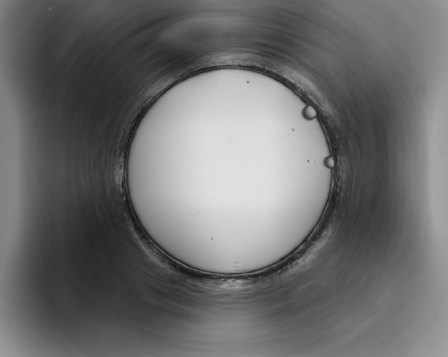 X0000096170841200802151433