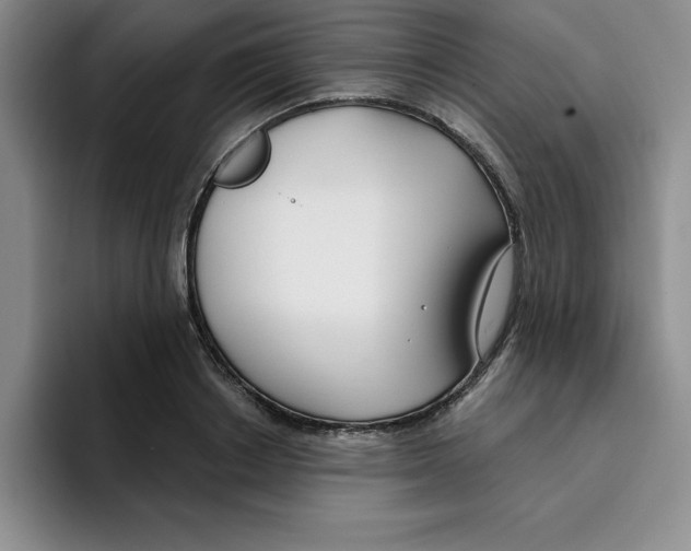 X0000096170842200802151433
