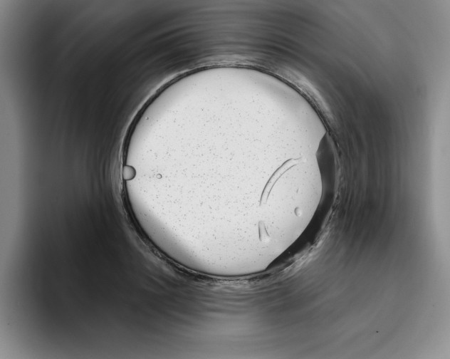 X0000096170844200802151433