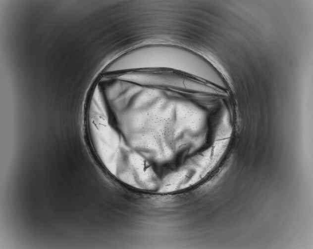 X0000096170845200802151433
